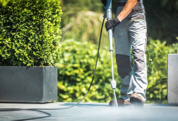 Best Animal Enclosure Cleaning  in Whitney, SC